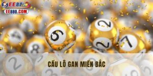 Cầu lô gan miền bắc