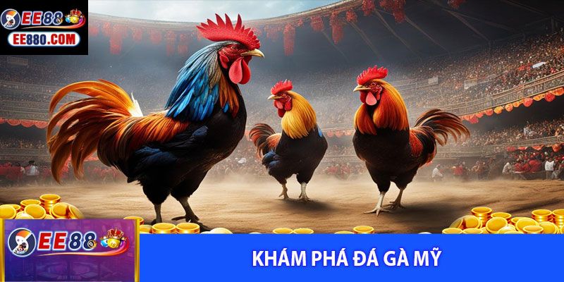 chọi gà mỹ ee88