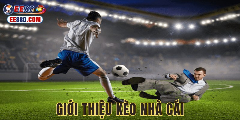 Kèo nhà cái là hình thức giải trí hot tại EE88