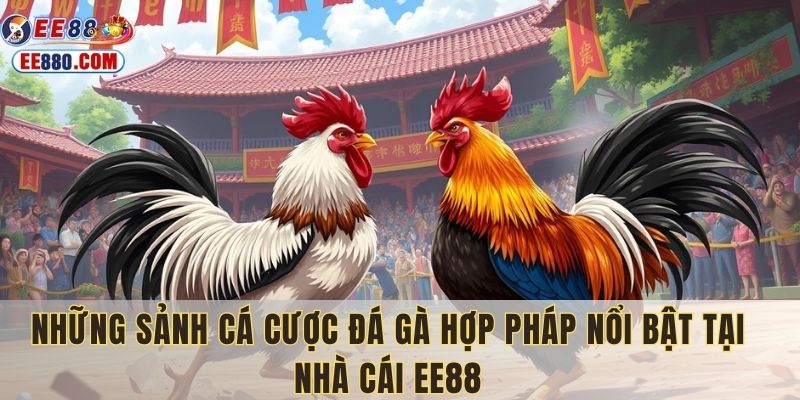 Sảnh đá gà hợp pháp tại EE88