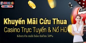 khuyến mãi 50%