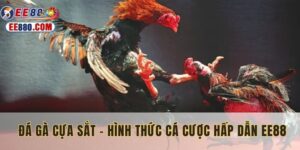 đá gà cựa sắt