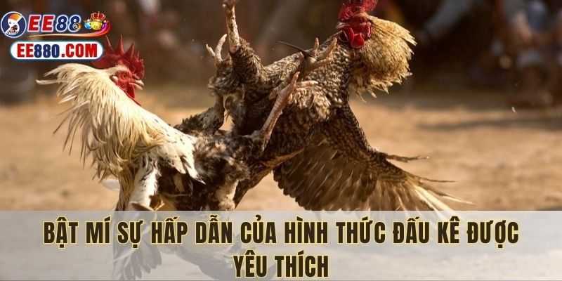 Bật mí nét hấp dẫn của hình thức đấu kê online